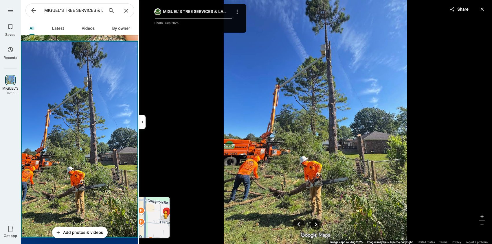 Tree Removal